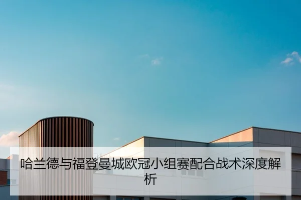 哈兰德与福登曼城欧冠小组赛配合战术深度解析 - 333sports